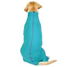 Large/Extra Large Dog Post-Surgery Recovery Suit, Suitable For Abdominal Wound Or Skin Condition Recovery, Dog Pajamas