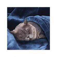 Bertte Plush Throw Blanket Super Soft Fuzzy Warm Blanket | 330 GSM Lightweight Fluffy Cozy Luxury Decorative Stripe Blanket For Bed Couch - 33*43", Brown  Para Sala Cortinas Para Sala Table Cloth Living Room Curtains Table Cover Cortinas Para La Sala Alfombras Para La Sala Cortinas Para Sala - 海軍藍 - 查看 9