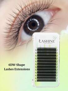Lashine Lashine Clover Lashes 12 Rows 4D W Shape 0.07mm C D L M Curl Premade Fans Eyelash Extension W Style Faux Mink Natural Soft Bloom Lash Automatic Flowering Volume Eyelashes High Quality Individual Lashes