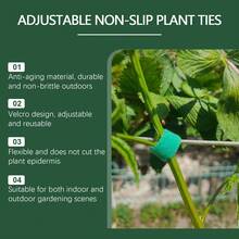 Plant Cages & Supports