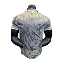 Jersey America 2025 / Gris - Gris - Ver 2