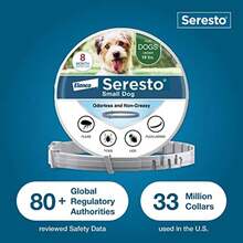 Small Dog Vet-Recommended Flea & Tick Treatment & Prevention Collar For Dogs Under 18 Lbs. | 8 Months Protection - trắng - Xem 7