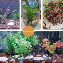 50 جرام/100 جرام/150 جرام/3000 جرام من حجر العقيق الساكورا، حصاة، حجر ديكور خزان الأسماك، ديكور المنزل، لتزيين حوض السمك، مخطط الالتصاق، منظر طبيعي للحديقة، حصى خزان السمك ، ديكور النبات