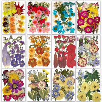 Colorful Natural Dried Flowers, Suitable For Nail Art, Candle Making, Resin Crafts, Resin Mold Filler DIY