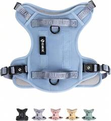 2025 New Edition, Fei & Eve Classic Dog Harness - Quick-Release Buckles |   3-Point No-Pull Control |   Heavy-Duty 900D Nylon |   Dual Safety Handles |   Breathable Mesh |   Adjustable Fit |   Medium,Gray - Blue - View 1