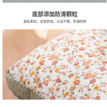 Seat Cushions & Backrest Pillows