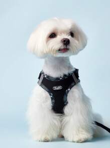 PETSIN Breathable Reflective Plaid Edge Chest And Back Harness Set, Suitable For Small Dogs, Including A Leash, Suitable For Both Cats And Dogs For Indoor And Outdoor Use