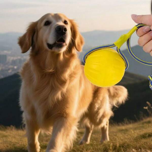 Juguetes para masticar para perros, bola limpiadora de dientes, juguetes para mascotas que se entretienen a sí mismas y alivian el estrés, adecuados para el entrenamiento de border collies y perros grandes