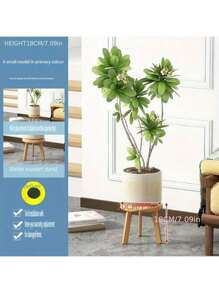 Freestanding Indoor Plant Stand, Living Room Greenery Shelf, New Style Balcony Flower Pot Rack, Windowsill Succulent Display Shelf