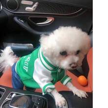 1pc Numerical Print Pet Clothes, 4-Legged Controllable Harness, Lightweight For Small Dogs Like Teddy, Suitable For Cats And Dogs, Spring/Autumn - Green - View 3