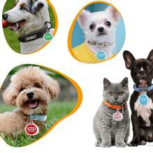 定制狗牌吊坠，个性化猫狗小狗宠物ID名字吊坠，项圈标签吊坠宠物配件皇冠吊坠，送给宠物的完美礼物 - 彩色 - 查看 9