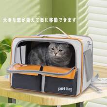 Pet Soft-Sided Carriers