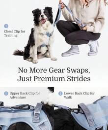 2025 New Edition, Fei & Eve Classic Dog Harness - Quick-Release Buckles |   3-Point No-Pull Control |   Heavy-Duty 900D Nylon |   Dual Safety Handles |   Breathable Mesh |   Adjustable Fit |   Medium,Gray - Blue - View 4
