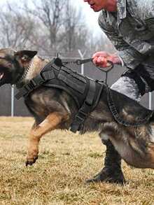 Arnés Táctico Para Perros Con Asa, Ajustable Correa Transpirable y Cómodo, Adecuado Para Perros Medianos y Grandes - Verde militar - Ver 6