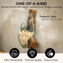 Wall Mounted Molten Glass Hanging Terrarium On Driftwood, Indoor Wall Planter Vase On Wood, Propagation Station For Hydroponics Plants, Succulent Pot - Wall Mounted_ - View 2