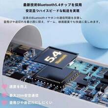 Earphone Accessories