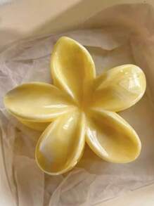 2 Stück Damen Acryl Farbverlauf große Blumen Haarklammern, einfach, exquisit und elegant als Haarschmuck für hochgestecktes Haar, Blumenform Haarklammer, Temperament, Reise- und Urlaubsoutfit Zubehör, geeignet für täglichen Gebrauch von Kopfschmuck und Haaraccessoires, Mode Haarspangen für Frauen
