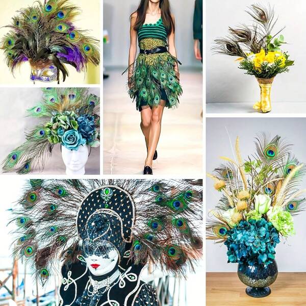 20/10/5/1pc 27.6in-31.5in Natural Peacock Feather Loose Set Peacock Feather Crafts