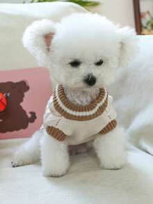 1 件宠物服装可爱小狗猫毛衣，休闲时尚柔软透气镂空针织毛衣 - 咖啡白色 - 彩色 - 查看 3
