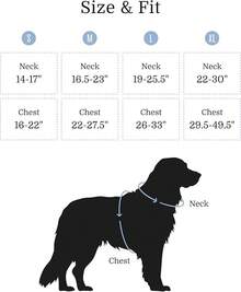 2025 New Edition, Fei & Eve Classic Dog Harness - Quick-Release Buckles |   3-Point No-Pull Control |   Heavy-Duty 900D Nylon |   Dual Safety Handles |   Breathable Mesh |   Adjustable Fit |   Medium,Gray - Blue - View 2