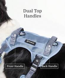 2025 New Edition, Fei & Eve Classic Dog Harness - Quick-Release Buckles |   3-Point No-Pull Control |   Heavy-Duty 900D Nylon |   Dual Safety Handles |   Breathable Mesh |   Adjustable Fit |   Medium,Gray - Blue - View 11