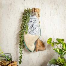 Wall Mounted Molten Glass Hanging Terrarium On Driftwood, Indoor Wall Planter Vase On Wood, Propagation Station For Hydroponics Plants, Succulent Pot - Wall Mounted_ - View 5