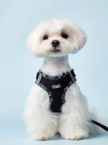PETSIN Breathable Reflective Plaid Edge Chest And Back Harness Set, Suitable For Small Dogs, Including A Leash, Suitable For Both Cats And Dogs For Indoor And Outdoor Use