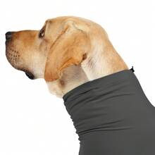 Large/Extra Large Dog Post-Surgery Recovery Suit, Suitable For Abdominal Wound Or Skin Condition Recovery, Dog Pajamas
