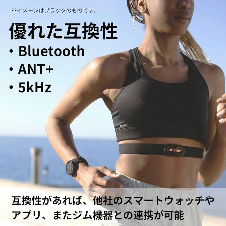 POLAR (ポラール) H10 N 心電式 胸 心拍センサー 楽天市場】【ポラール公式ストア】Polar H10 N 胸心拍センサー