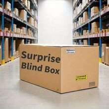 Mystery Box Surprise Gift - Lucky Mystery Box For Everyday Fun And Games, Perfect For Halloween, Christmas, Easter, Thanksgiving, Mother's Day Or Just Because! A Great Gift To Give Yourself Or A Friend, Gift Box