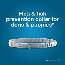 Large Dog Vet-Recommended Flea & Tick Treatment & Prevention Collar For Dogs Over 18 Lbs. | 8 Months Protection - mặc định - Xem 4