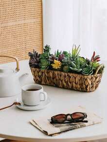 10 件 - 人造多肉植物盆，矩形木质花盆装饰，桌面中心装饰，人造多肉植物 - 优质假植物 - 双层植绒多肉植物 - 逼真纹理仙人掌 - 面部多肉植物 - 迷你人造多肉植物 - 面部植物装饰窗台绿色植物装饰