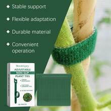 Plant Cages & Supports
