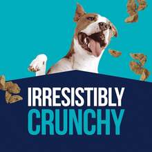 Stewart Single Ingredient Freeze Dried Raw Dog Treats, Chicken Liver, 16.8 Ounce Value Size Resealable Tub, Training Treats Or Meal Topper For All Size Dogs, High Protein, Grain-Free, Gluten-Free - Chicken Liver - 查看 5