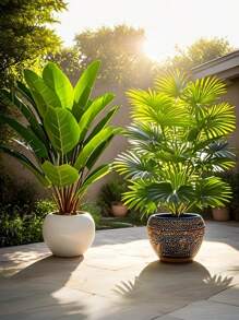 2pcs Large Artificial Palm Plants, Big Faux Banana Tree & Fan Leaf Tropical Plant Decor With 24 Leaves, Simulated Plant Arrangement, Lifelike Plastic Broad Leaf Plant Decoration, Evergreen & Realistic Tall Tropical Plants, Wide Leaf Tropical Rainforest Decorative Trees, Suitable For All Seasons Artificial Tree Potted Plants, Decoration For Home, Party, Office, Garden, Hotel, Indoor, Outdoor Decor, Home Decor