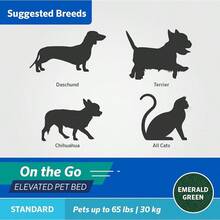Coolaroo On-The-Go Elevated Dog Bed - Foldable Pop-Up Travel Dog Bed With Breathable, Moisture-Resistant Fabric, Carry Bag Included, Lightweight & Portable, Emerald Green, Standard - 翡翠綠 - 查看 10