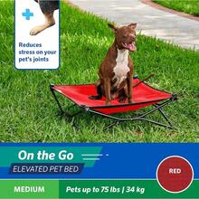 Coolaroo On-The-Go Elevated Dog Bed - Foldable Pop-Up Travel Dog Bed With Breathable, Moisture-Resistant Fabric, Carry Bag Included, Lightweight & Portable, Emerald Green, Standard - Red - View 2