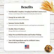 LAFEBER'S Classic Nutri-Berries Conure Food, Made With Non-GMO And Human-Grade Ingredients, For Conures (Classic 10 Oz Pack Of 2) - Classic 10 Oz - View 3