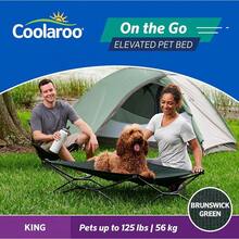 Coolaroo On-The-Go Elevated Dog Bed - Foldable Pop-Up Travel Dog Bed With Breathable, Moisture-Resistant Fabric, Carry Bag Included, Lightweight & Portable, Emerald Green, Standard - 布倫瑞克格林 - 查看 9
