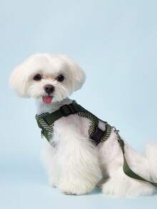 PETSIN 新款印花寵物胸背帶+牽繩套裝,透氣網眼材質,配有反光條,可調節,柔軟舒適,適用於小型犬遛狗