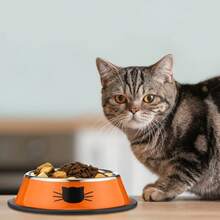 6pcs Cat Food And Water Bowls Set, Stainless Steel Pet Feeding Bowls With Anti-Slip Removable Rubber Base, Suitable For Indoor Cats And Small Dogs, Available In 2/4/6 Pieces Sets