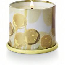 Fresh Sea Salt Vanity Tin Scented Candle - Borealis Moss - 查看 5