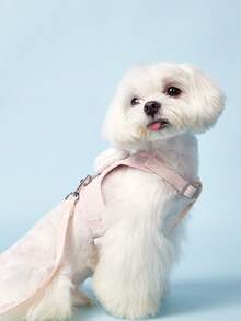 PETSIN Cat Leash To Prevent Escape, Pet Chest Harness Leash For Small Kittens, Outdoor Cat Strap, Pet Loss Prevention Accessories