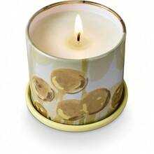Fresh Sea Salt Vanity Tin Scented Candle - Borealis Moss - 查看 2