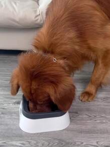 Supet 1 Conjunto Tigela de Água Flutuante para Animais de Estimação, Tigela de Água à Prova de Respingos e Anti-Queda para Cachorro, Tigela de Bebedouro para Gato que Não Molha a Boca