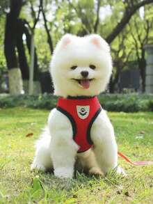 1 件适合所有季节的宠物背带带牵引绳 - 透气网眼狗和猫背带，非常适合宠物主人在户外玩耍，适合泰迪熊、贵宾犬，适合散步，仅适用于宠物