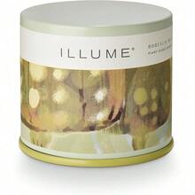 Fresh Sea Salt Vanity Tin Scented Candle - Borealis Moss - 查看 7