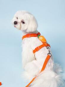 PETSIN 可愛寵物胸帶和繩子套組合，適用於小型犬，戶外遛狗，防逃跑貓繩，可調節貓背心，適用於所有季節 - 橘色 - 查看 6