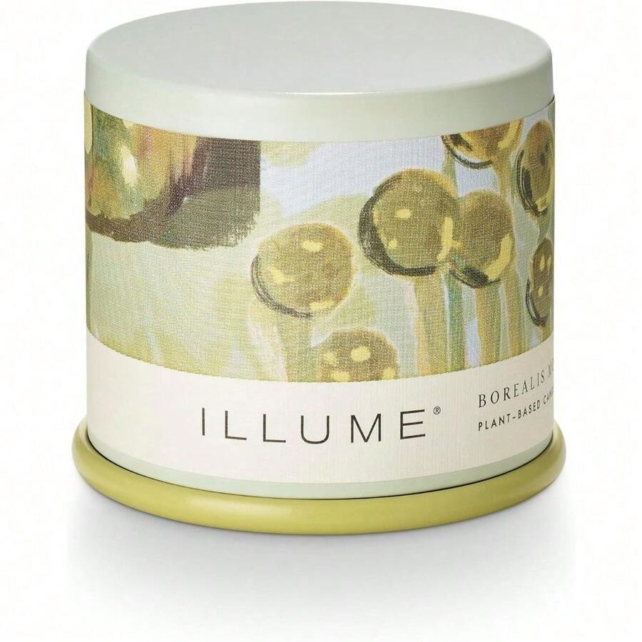 Fresh Sea Salt Vanity Tin Scented Candle - Borealis Moss - 查看 1