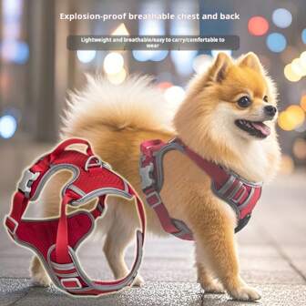 Lightweight Summer Dog Harness Vest, Breathable Crisscross Pet Walking Chest Strap Leash For Small & Medium Dogs